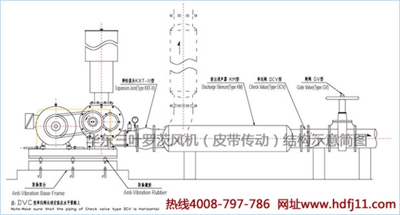 羅茨風(fēng)機結(jié)構(gòu)圖.jpg