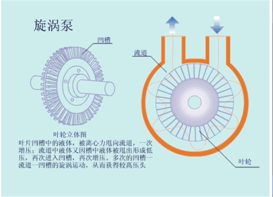 旋渦泵.gif