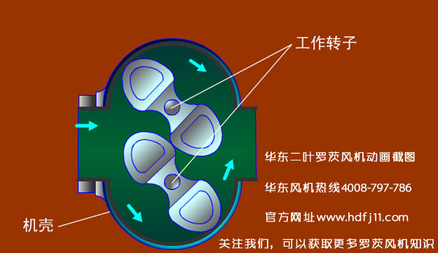 羅茨風(fēng)機(jī)的動(dòng)畫截圖.jpg